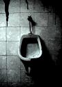 toilette1.jpg