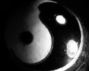 yingyang.jpg
